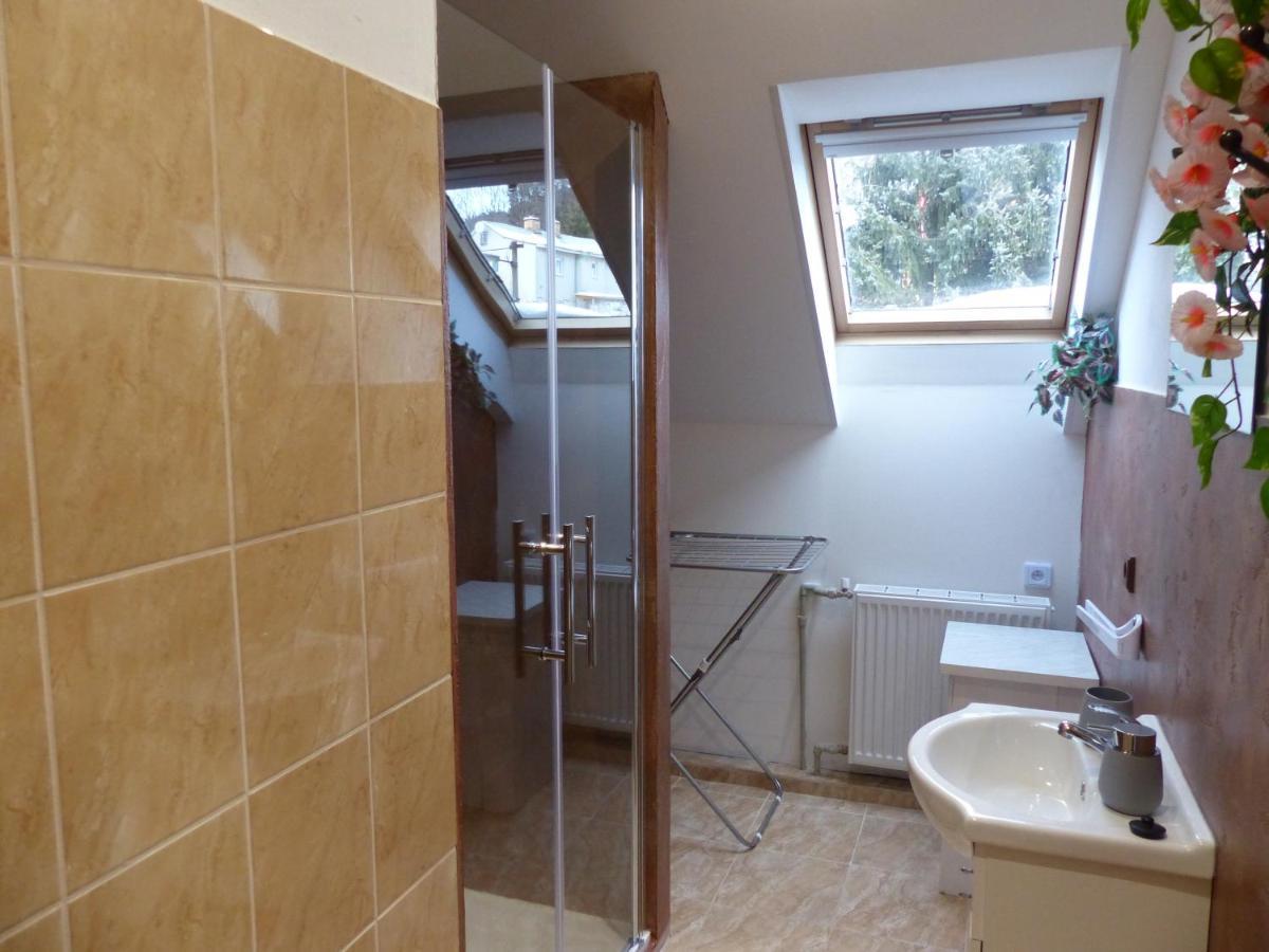 Apartmany Plischke Липова Лазне Екстериор снимка